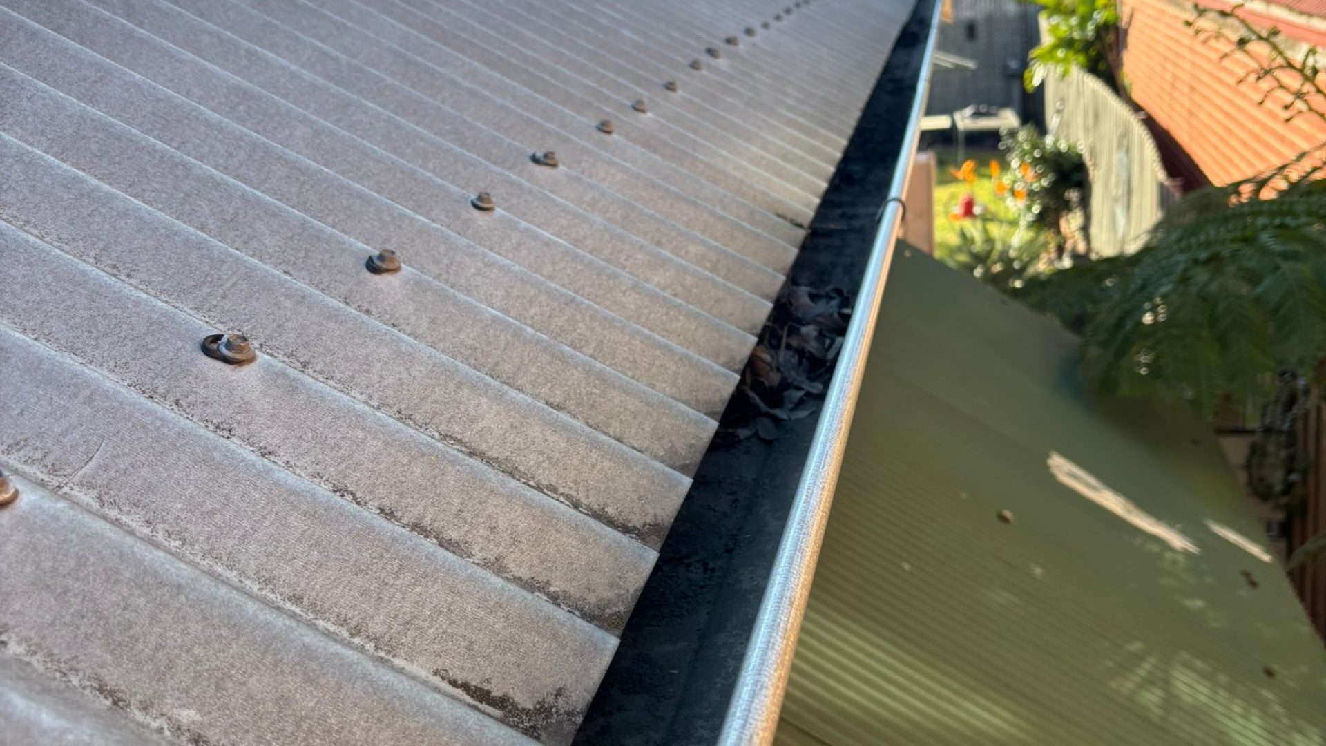 WhatsApp Image 2025-05-28 at 6.19.02 PM